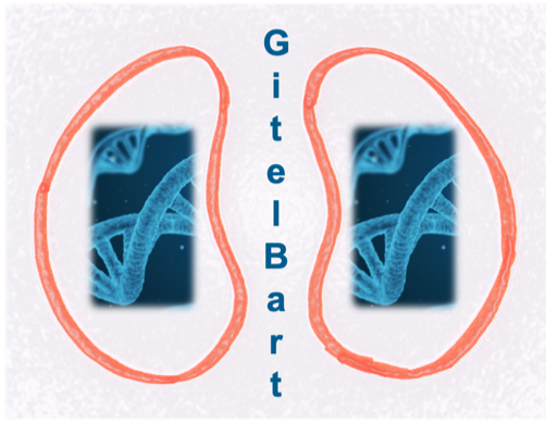 Logo Gitelbart