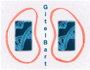 logo de l'association Gitelbart