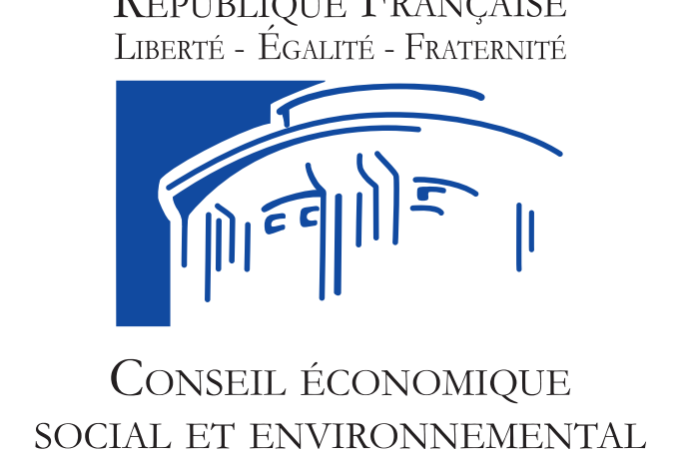 Conseil_économique,_social_et_environnemental_-_logo