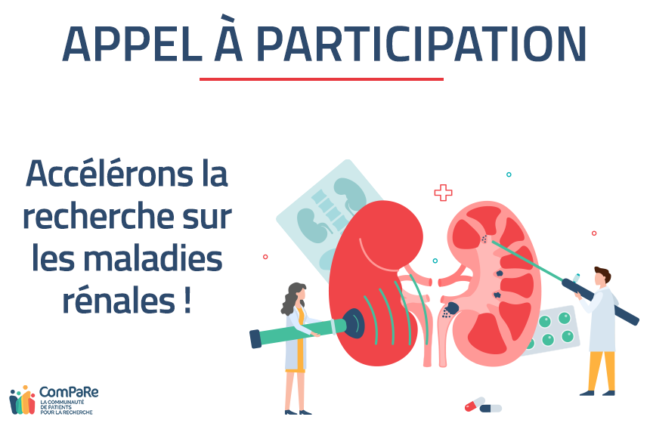 participation-maladies-renales participation-maladies-renales