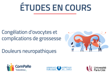 visuel études